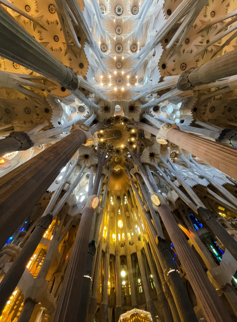 White tree-like pillars attaching to the lofted ceiling in La Sagrada de Familia in Barcelona, Spain