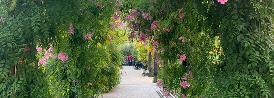 Green vines with pink flowers hanging over an arch and paved walkway in Giardini Reali park in Venice