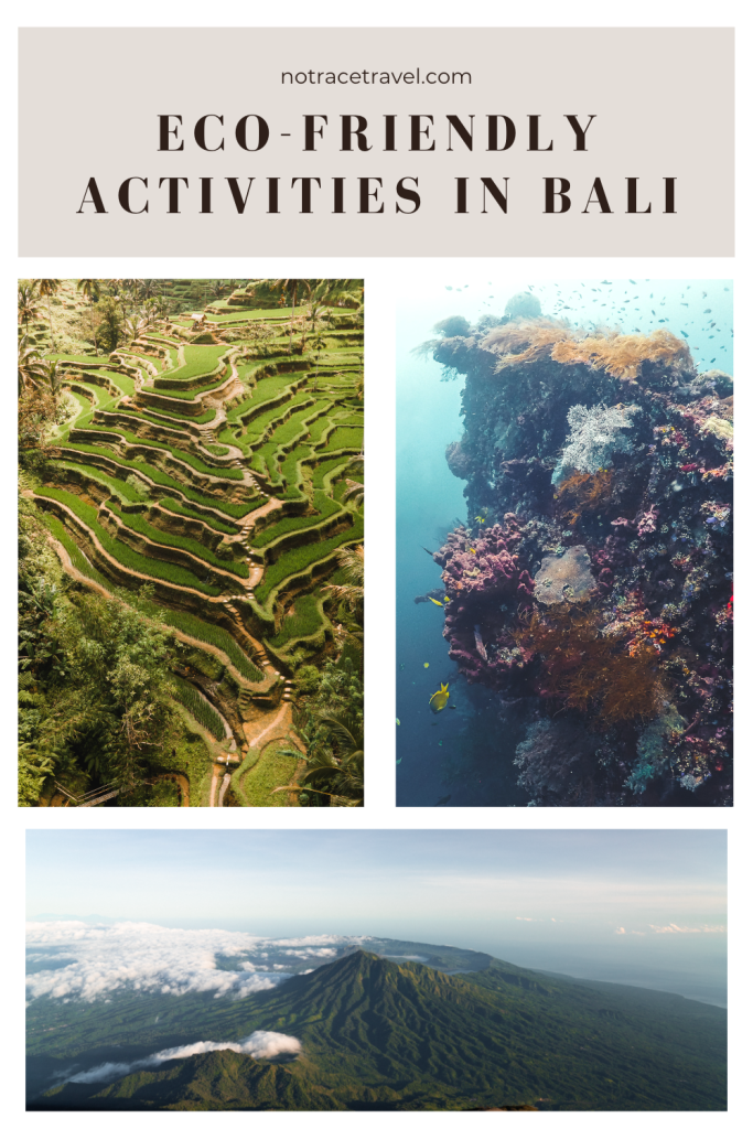 Eco-friendly activities in Bali pinterest icon