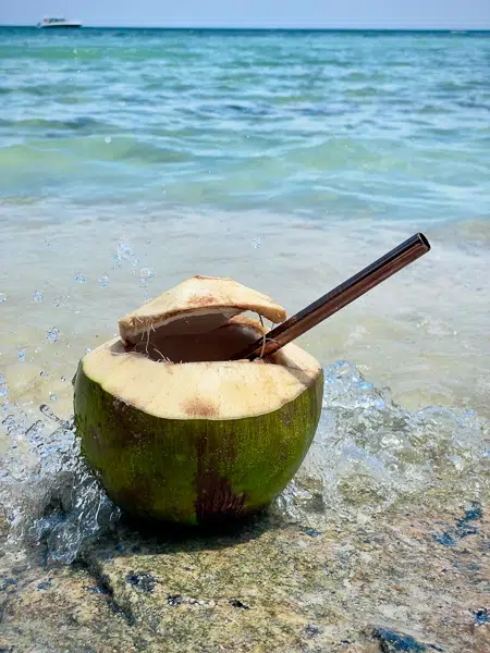Fresh coconut with a reusable straw on the beach in Koh Phangan