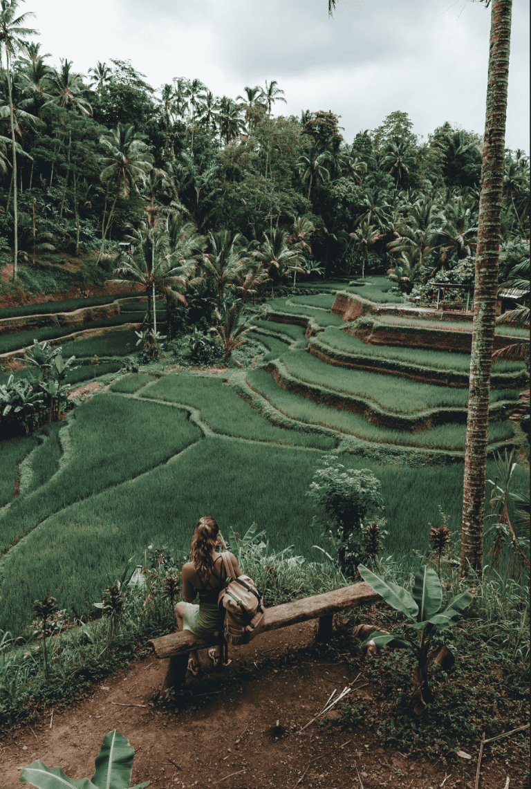 Woman sitting on a bench looking out over a rice terrace in Bali